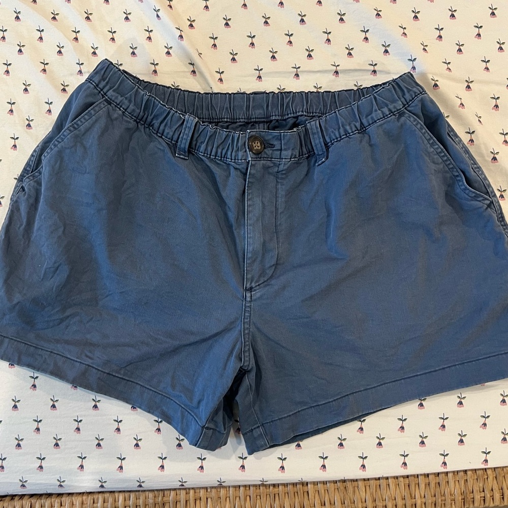 Chubbies Men Short 4 in